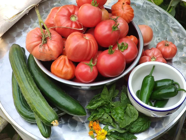 Il nostro giardino — foto 11 dall’album personale di PAGANE