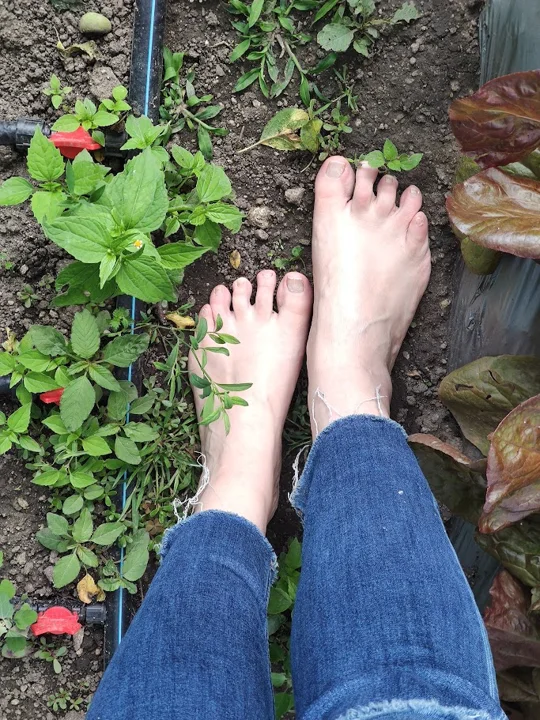 Il nostro giardino — foto 04 dall’album personale di PAGANE