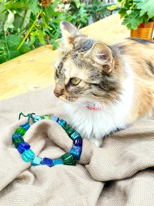 Katze und bunter Armreif auf dem Tisch — aus der Welt von Jasmina und PAGANE
